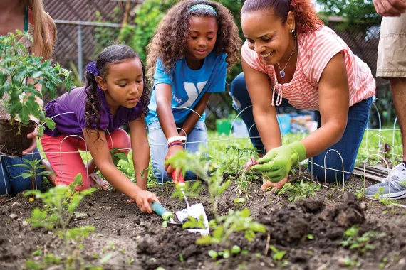 Community Garden